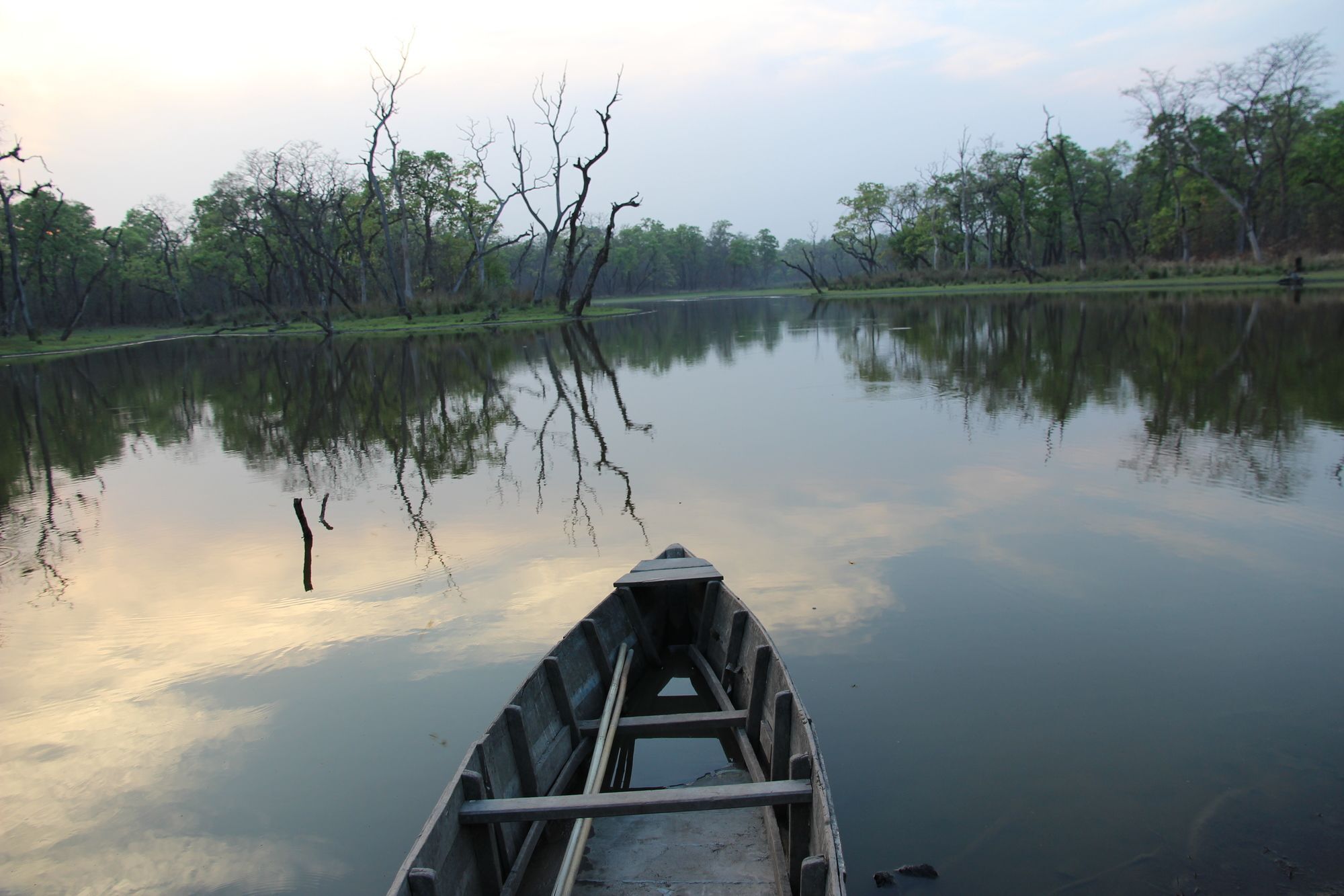 Jungle Sunset Camp Hotell Sauraha Exteriör bild