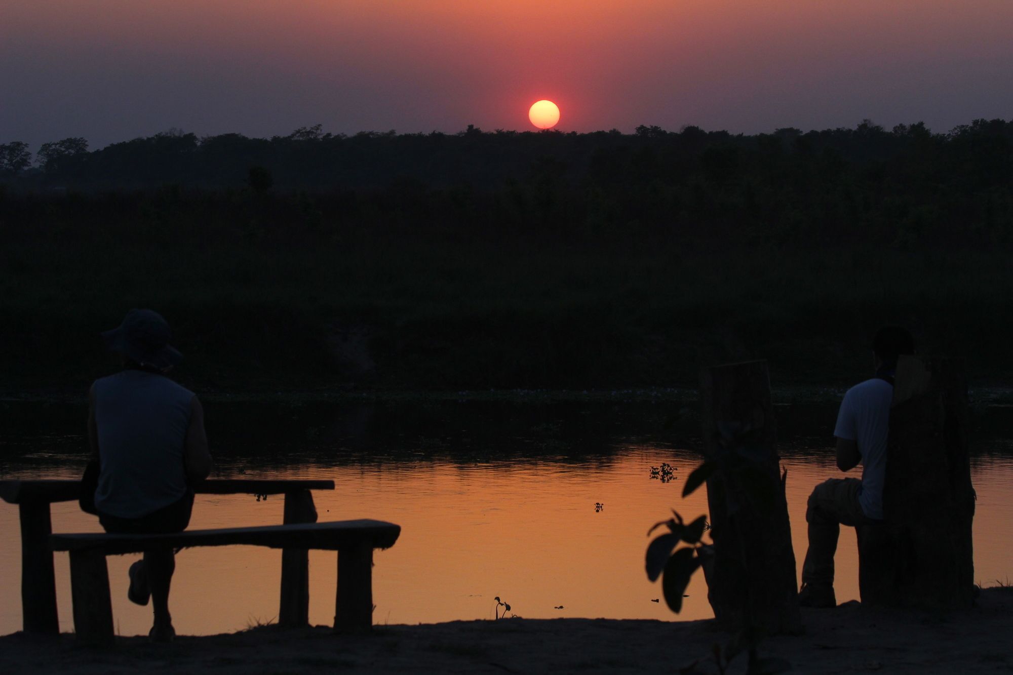 Jungle Sunset Camp Hotell Sauraha Exteriör bild