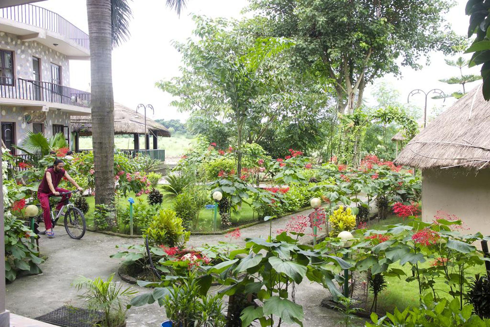 Jungle Sunset Camp Hotell Sauraha Exteriör bild
